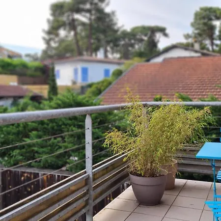 Joli Duplex Au Centre Du Canon A Quelques Pas Du Bassin